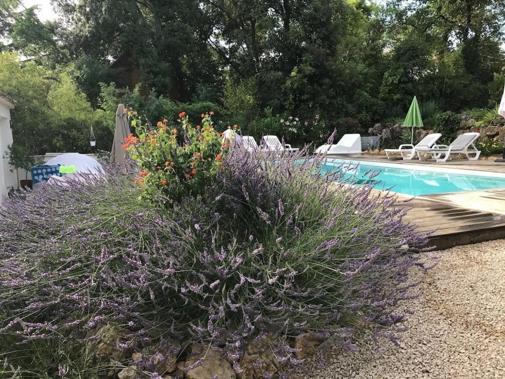 Villa Oha Close Cannes,Nice, Valbonne , Opio Roquefort-les-Pins Exterior foto